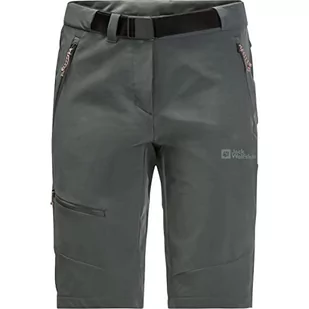 Jack Wolfskin Ziegspitz szorty Slate Green 40 - Spodenki damskie - miniaturka - grafika 1
