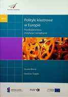 Zarządzanie - Polityki klastrowe w Europie - miniaturka - grafika 1