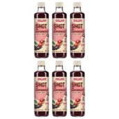 Soki i napoje niegazowane - Polska Róża Shot na odporność polskie owoce zestaw 6 x 250 ml - miniaturka - grafika 1