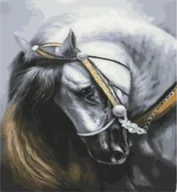 Malowanie po numerach - OBRAZ DO MALOWANIA PO NUMERACH ZESTAW Z RAMĄ 40X50 NR 1113 - miniaturka - grafika 1