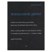 Poezja - Streszczenie pieśni Nowa - miniaturka - grafika 1