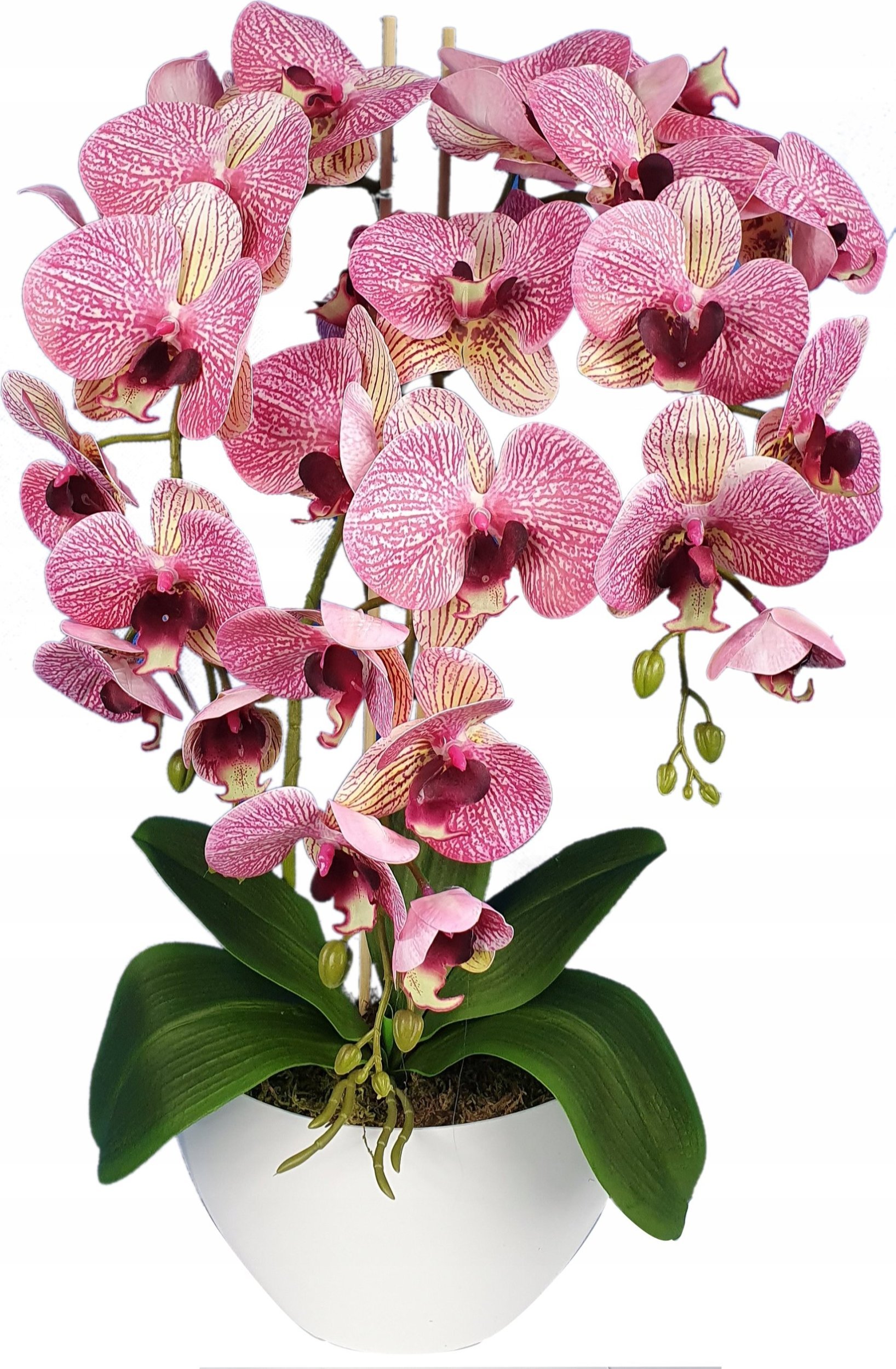 Storczyk sztuczny, kwiaty orchidea 3P, guma,