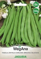 Nasiona i cebule - Fasola zwykła karłowa Jagusia 40g nasiona - WegAna - miniaturka - grafika 1