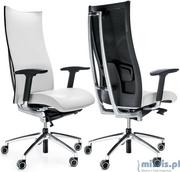 Fotele i krzesła biurowe - ProfiM Fotel ergonomiczny Action - A 100SFL - miniaturka - grafika 1