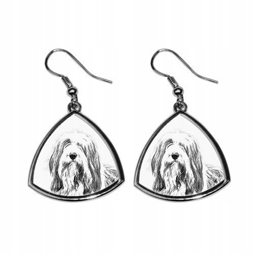 Bearded Collie Trójkątne kolczyki z nadrukiem