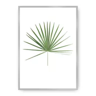 Plakaty - Dekoria Dekoria Plakat Tropical Leaf Green 30 x 40 cm Ramka Srebrna 219B-000-14 - miniaturka - grafika 1