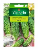 Nasiona i cebule - Vilmorin Nasiona ogórek gruntowy Dalila F1 T - miniaturka - grafika 1