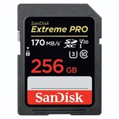 Karty pamięci - SanDisk Extreme 256GB (SDSDXXY-256G-GN4IN) - miniaturka - grafika 1