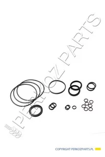 Zestaw uszczelek hydromotoru New Holland CNH 9807617 - 89807617 - Części i akcesoria do maszyn rolniczych - miniaturka - grafika 1