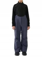 Spodnie narciarskie - Chłopięce spodnie narciarskie 4F M0949 22S antracyt 146 cm - miniaturka - grafika 1