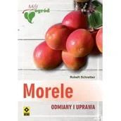 Biznes - Morele Odmiany i uprawa - Schreiber Robert - miniaturka - grafika 1
