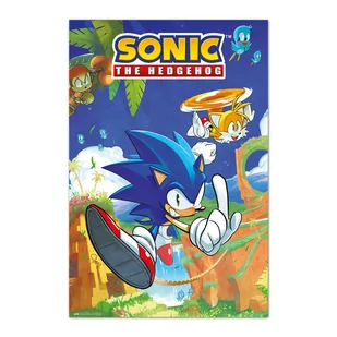 PLAKAT SONIC THE HEDGEHOG - SONIC I TAILS - Zabawki kreatywne - miniaturka - grafika 1