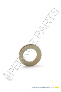 NEW HOLLAND CASE PODKŁADKA CASE STEYR 86624184 86624184 - Części i akcesoria do maszyn rolniczych - miniaturka - grafika 1