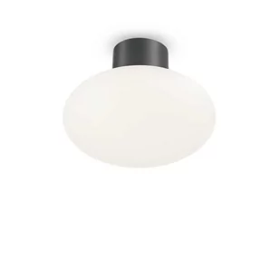Ideal Lux Podstawa plafonu CLIO MPL1 IP44 antracyt 148861 148861/IL - Lampy sufitowe - miniaturka - grafika 1