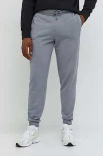 Fila spodnie dresowe męskie kolor szary z aplikacją - Spodnie męskie - miniaturka - grafika 1