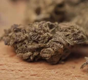 Suplementy naturalne - Susz CBD Remedium Northern Lights 8.4% - miniaturka - grafika 1