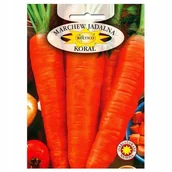 Nasiona i cebule - MARCHEW MARCHEWKA KORAL późna plenna NASIONA WARZYW marchewki DUZA PACZKA p. DE80016120214716ST, DE80016220225356ST; - miniaturka - grafika 1