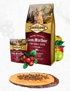 Carnilove Sterilised Lamb & Wild Boar 0,4 kg - Sucha karma dla kotów - miniaturka - grafika 1