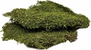 Tn-44037 Podłoże Do Terrarium Mech 50g - Podłoże do terrarium - miniaturka - grafika 1