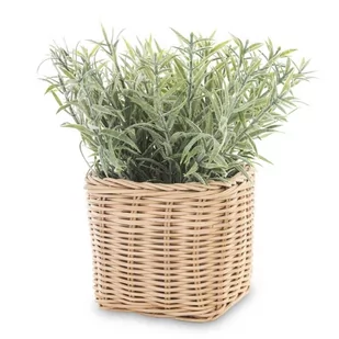 Roślina Dekoracyjna - Sztuczne kwiaty - miniaturka - grafika 1