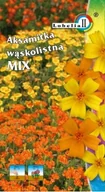 Nasiona i cebule - Aksamitka wąskolistna mix 0,3g / L / - miniaturka - grafika 1