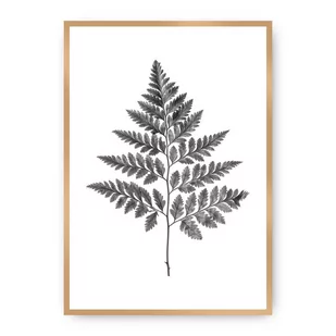 Dekoria Dekoria Plakat Fern Grey 50 x 70 cm Ramka Złota 222H-000-07 - Plakaty - miniaturka - grafika 1