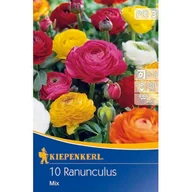 Nasiona i cebule - Jaskier mieszanka - miniaturka - grafika 1