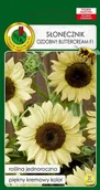 Nasiona i cebule - SŁONECZNIK KREMOWE KWIATY BUTTERCREAM DO BUKIETÓW NASIONA 1g - miniaturka - grafika 1