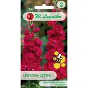 Nasiona i cebule - Lewkonia letnia czerwono-wiśniowa 0.50g - miniaturka - grafika 1