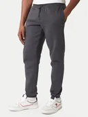 Spodnie sportowe męskie - Tommy Jeans Spodnie dresowe DM0DM20473 Szary Regular Fit - miniaturka - grafika 1