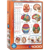 Puzzle - Puzzle 1000 The Brain 6000-0256 - Eurographics - miniaturka - grafika 1
