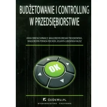 Budżetowanie i controlling w przedsiębiorstwie - Owidia-Surmacz Anna, Brojak-Trzaskowska Małgorzata, Małgorzata Porada-Rochoń - Biznes - miniaturka - grafika 1