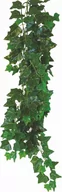 Dekoracje do terrarium - Roślina do terrarium Hedera Helix Happet 50cm - miniaturka - grafika 1