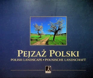Pejzaż Polski - Historia świata - miniaturka - grafika 1