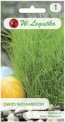 Nasiona i cebule - Nasiona Owsa Owies Wielkanocny Legutko 20g - miniaturka - grafika 1