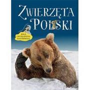 Rośliny i zwierzęta - Zwierzęta Polski Mała encyklopedia ilustrowana Nowa - miniaturka - grafika 1