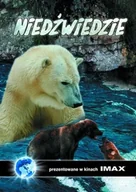 Filmy dokumentalne DVD - Niedźwiedzie - miniaturka - grafika 1