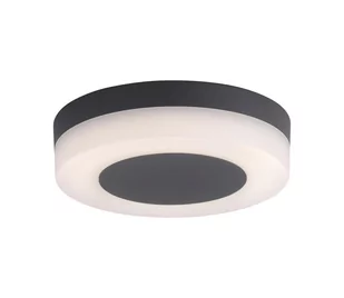 Paul Neuhaus 9490-13 - LED Lampa zewnętrzna FABIAN LED/12,6W/230V IP54 - Lampy ogrodowe - miniaturka - grafika 2