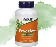 Zioła - FEVERFEV (Złocień maruna) NOW 100 sztuk - miniaturka - grafika 1