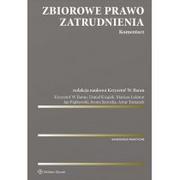 Prawo - Książek Daniel, Baran Krzysztof Wojciech, Lekston Zbiorowe prawo zatrudnienia. Komentarz - miniaturka - grafika 1