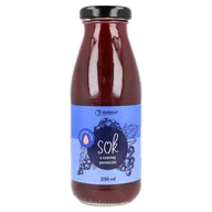 Soki i napoje niegazowane - Sok z czarnej porzeczki 250ml - miniaturka - grafika 1