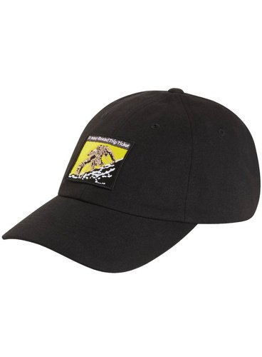 Czapka z daszkiem The North Face Norm Hat - tnf black / expedition proven patch
