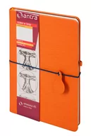 Notesy i bloczki - ANTRA Notes A5 Linia Renesans Pomarańczowy ANTRA - miniaturka - grafika 1