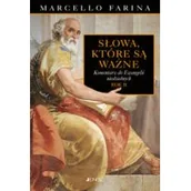 Religia i religioznawstwo - SŁOWA KTÓRE SĄ WAŻNE KOMENTARZE DO EWANGELII NIEDZIELNYCH ROK B FARINA MARCELLO - miniaturka - grafika 1