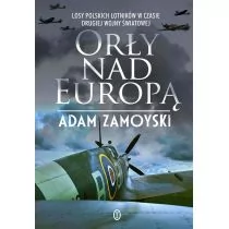 Orły nad Europą - II wojna światowa - miniaturka - grafika 1