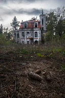 Plakaty - Galeria Plakatu, Plakat, Willa, 61x91,5 cm - miniaturka - grafika 1