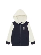 Bluzy dla chłopców - TOM TAILOR Chłopięca bluza Colorblock z nadrukiem, 10668-sky Captain Blue, 92-98 - miniaturka - grafika 1