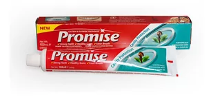 Dabur Promise Goździkowa Pasta Do Zębów 100ml - Pasty do zębów - miniaturka - grafika 1