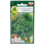 Nasiona i cebule - KOPER OGRODOWY AMBROZJA PLENNY NASIONA 5g - miniaturka - grafika 1