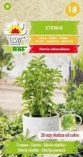 Stewia (Liście 20 Razy Słodsze Od Cukru) Nasiona - Nasiona i cebule - miniaturka - grafika 1